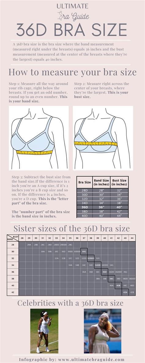 36d boobs|36D bra size: chest and cup measurements, sister sizes in inches。